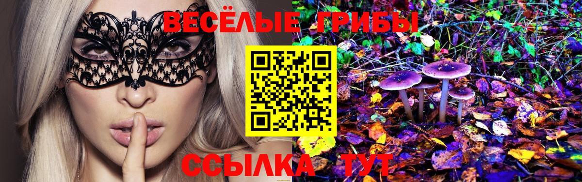 Псилоцибиновые грибы GOLDEN TEACHER  Галлюциногенные грибы Cubensis  Шелехов  Вход с VPN 